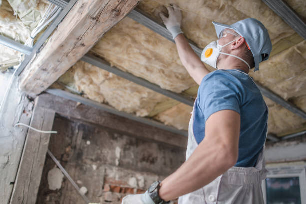 Best Residential Insulation in Fremont, IN